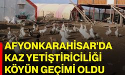 Afyonkarahisar'da kaz yetiştiriciliği köyün geçimi oldu