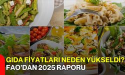 Gıda Fiyatları Neden Yükseldi? Fao’dan 2025 Raporu