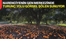 Narenciyenin Gen Merkezinde Turunç Yolu Görsel Şölen Sunuyor