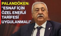 Palandöken: "Esnaf İçin Özel Enerji Tarifesi Uygulanmalı"