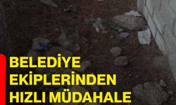 Belediye Ekiplerinden Hızlı Müdahale