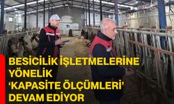 Besicilik işletmelerine yönelik ‘kapasite ölçümleri’ devam ediyor