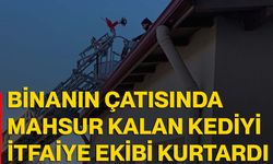Binanın çatısında mahsur kalan kediyi itfaiye ekibi kurtardı