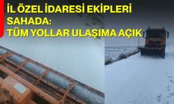 İl Özel İdaresi Ekipleri Sahada: Tüm Yollar Ulaşıma Açık