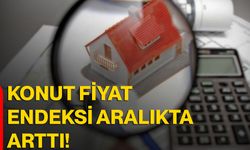 Konut Fiyat Endeksi aralıkta arttı!
