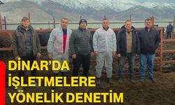 Dinar’da işletmelere yönelik denetim