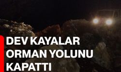 Dev kayalar orman yolunu kapattı