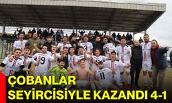 Çobanlar seyircisiyle kazandı 4-1