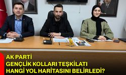 AK Parti Gençlik Kolları Teşkilatı Hangi Yol Haritasını Belirledi?