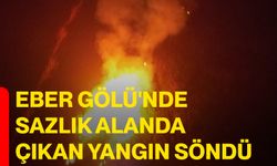 Eber Gölü'nde sazlık alanda çıkan yangın söndü