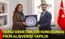 Vergi Denetimleri Konusunda Fikir Alışverişi Yapıldı