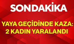 Yaya Geçidinde Kaza: 2 Kadın Yaralandı