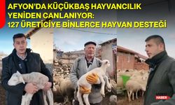 Afyon’da Küçükbaş Hayvancılık Yeniden Canlanıyor: 127 Üreticiye Binlerce Hayvan Desteği