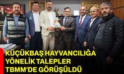 Küçükbaş Hayvancılığa Yönelik Talepler TBMM’de Görüşüldü