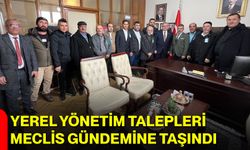 Yerel Yönetim Talepleri Meclis Gündemine Taşındı