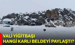 Vali Yiğitbaşı Hangi Karlı Beldeyi Paylaştı?