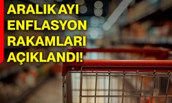 Aralık ayı enflasyon rakamları açıklandı!