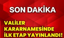 Valiler Kararnamesinde ilk etap yayınlandı!