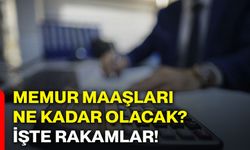 Memur maaşları ne kadar olacak? İşte rakamlar!