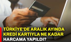 Türkiye’de aralık ayında kredi kartıyla ne kadar harcama yapıldı?