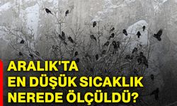 Aralık'ta en düşük sıcaklık nerede ölçüldü?