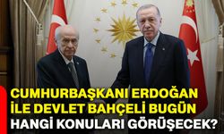 Cumhurbaşkanı Erdoğan ile Devlet Bahçeli bugün hangi konuları görüşecek?