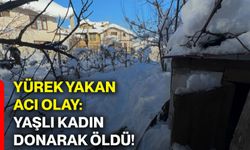 Yürek yakan acı olay: Yaşlı kadın donarak öldü!