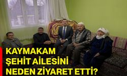 Kaymakam şehit ailesini neden ziyaret etti?