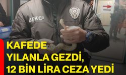 Kafede yılanla gezdi, 12 bin lira ceza yedi
