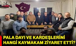 Pala Dayı ve kardeşlerini hangi kaymakam ziyaret etti?
