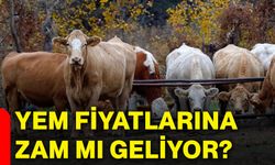 Yem fiyatlarına zam mı geliyor?