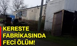 Kereste fabrikasında feci ölüm!