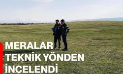 Meralar teknik yönden incelendi