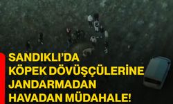 Sandıklı’da köpek dövüşçülerine jandarmadan havadan müdahale!