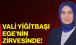 VALİ YİĞİTBAŞI EGE'NİN ZİRVESİNDE!