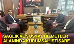 Sağlık Ve Sosyal Hizmetler Alanında Kurumsal İstişare