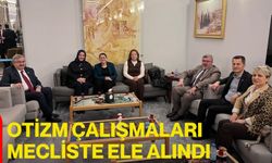 Otizm Çalışmaları Mecliste Ele Alındı
