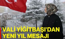 Vali Yiğitbaşı'dan Yeni Yıl Mesajı