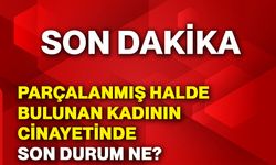 Parçalanmış halde bulunan kadının cinayetinde son durum ne?