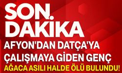 Afyon'dan Datça'ya Çalışmaya Giden Genç, Ağaca Asılı Halde Ölü Bulundu