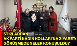 STK’lardan AK Parti Kadın Kolları’na Ziyaret: Görüşmede Neler Konuşuldu?
