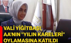 Vali Yiğitbaşı, AA'nın "Yılın Kareleri" oylamasına katıldı