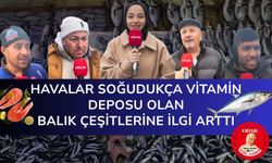 Havalar Soğudukça Vitamin Deposu Olan Balık Çeşitlerine İlgi Arttı