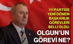 İYİ Partide Yeni Dönem Başkanlık Görevleri Belli Oldu: Olgun’un görevi ne?