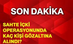 Sahte İçki Operasyonunda Kaç Kişi Gözaltına Alındı?