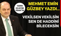 Mehmet Emin Güzbey Yazdı… Vekilsen Vekilsin Sen De Haddini Bileceksin