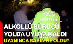 Alkollü Sürücü Yolda Uyuya Kaldı, Uyanınca Bakın Ne Oldu?