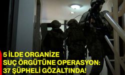 5 İlde Organize Suç Örgütüne Operasyon: 37 Şüpheli Gözaltında!
