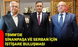 TBMM’de Sinanpaşa ve Serban İçin İstişare Buluşması