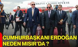 Cumhurbaşkanı Erdoğan Neden Mısır’da ?